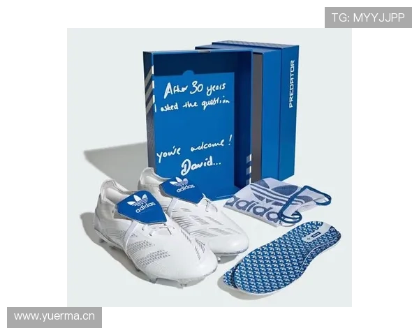 听说贝克汉姆家里堆满限量球鞋，鞋柜都快撑爆了！